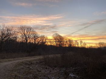 Bare trees on field against sky during sunset