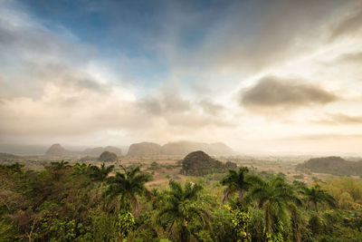 Scenic view of landscape against sky