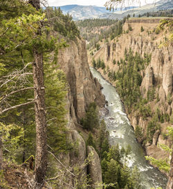 Scenic view of landscape