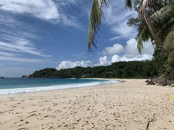 Scenic view of beach against sky