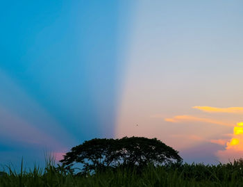 Scenic view of rainbow against sky during sunset