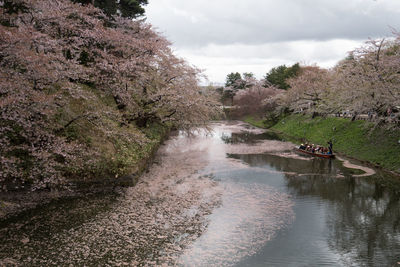 Scenic view of river amidst trees against sky