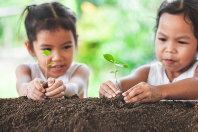 Sisters planting plants in soil