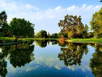 Reflection of trees in lake against sky