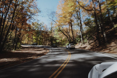 Road amidst trees in forest against sky