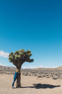 Woman hugging joshua tree in desert against blue sky