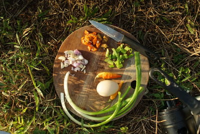 High angle view of bread on field