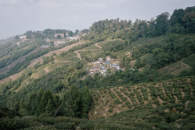 High angle view of agricultural field against sky