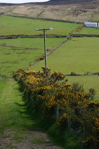 High angle view of agricultural field