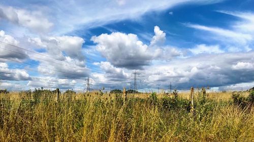 Scenic view of field against sky