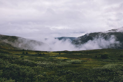 Scenic view of landscape against sky