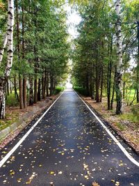 Empty road amidst trees in forest