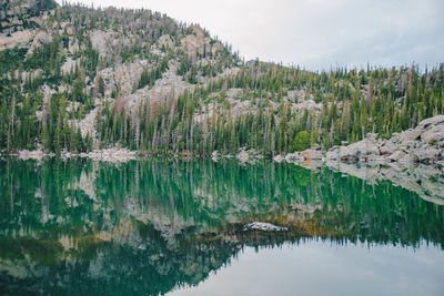 Scenic view of lake reflection and trees in forest against sky