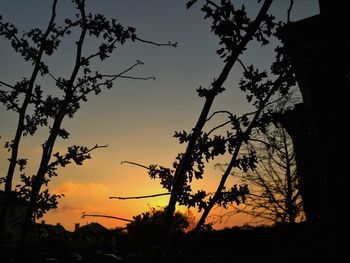 Bare trees against sky at sunset