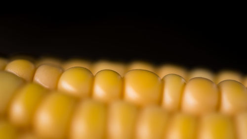 Close-up of yellow over black background