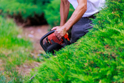 Midsection of man using hedge clippers by plant