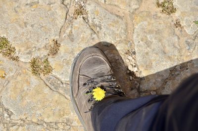 Low section of person standing on rock