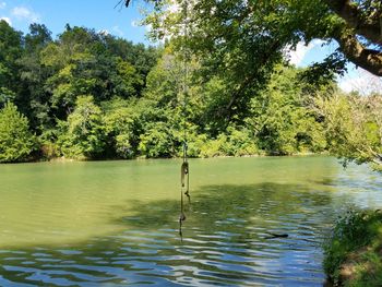 Scenic view of lake in forest against sky