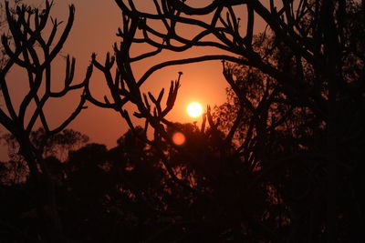 Silhouette trees against sky during sunset
