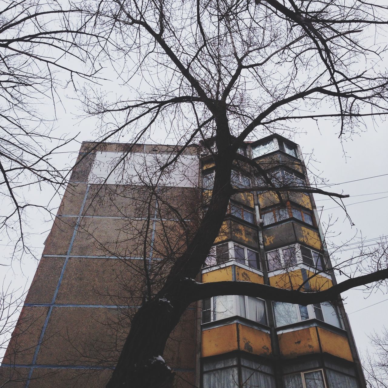 architecture, building exterior, low angle view, built structure, bare tree, branch, building, city, tree, clear sky, sky, office building, tall - high, modern, tower, day, outdoors, no people, window, residential building