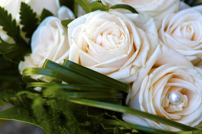 Close-up of white rose