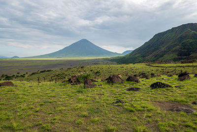 Scenic view of landscape against sky