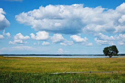 Scenic view of field against sky