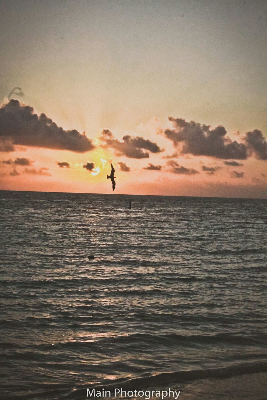 SCENIC VIEW OF SEA DURING SUNSET