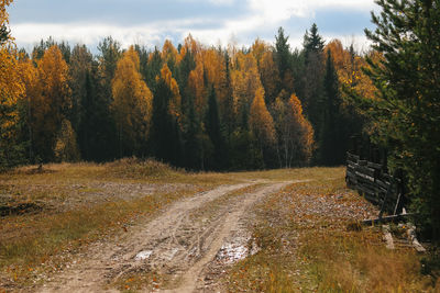 Scenic view of forest against sky during autumn