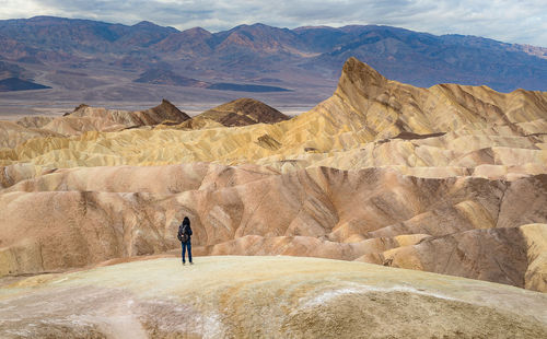 Rear view of man standing on mountain