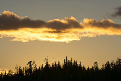 Low angle view of silhouette trees against sky during sunset