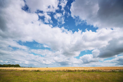 Scenic view of field against sky