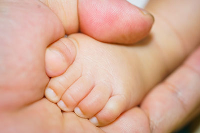 Close-up of baby holding hand