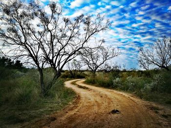 Road amidst trees against sky