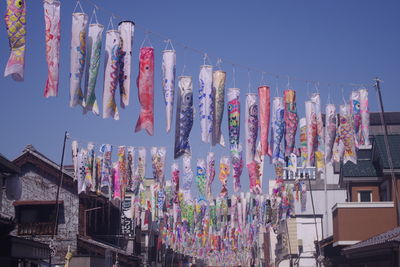 Colorful traditional koi carp streamers hanging for children's day in japan