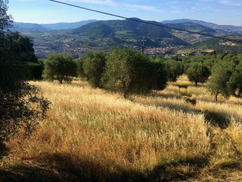 Scenic view of landscape against sky