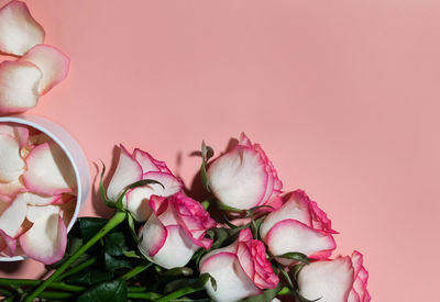Close-up of roses