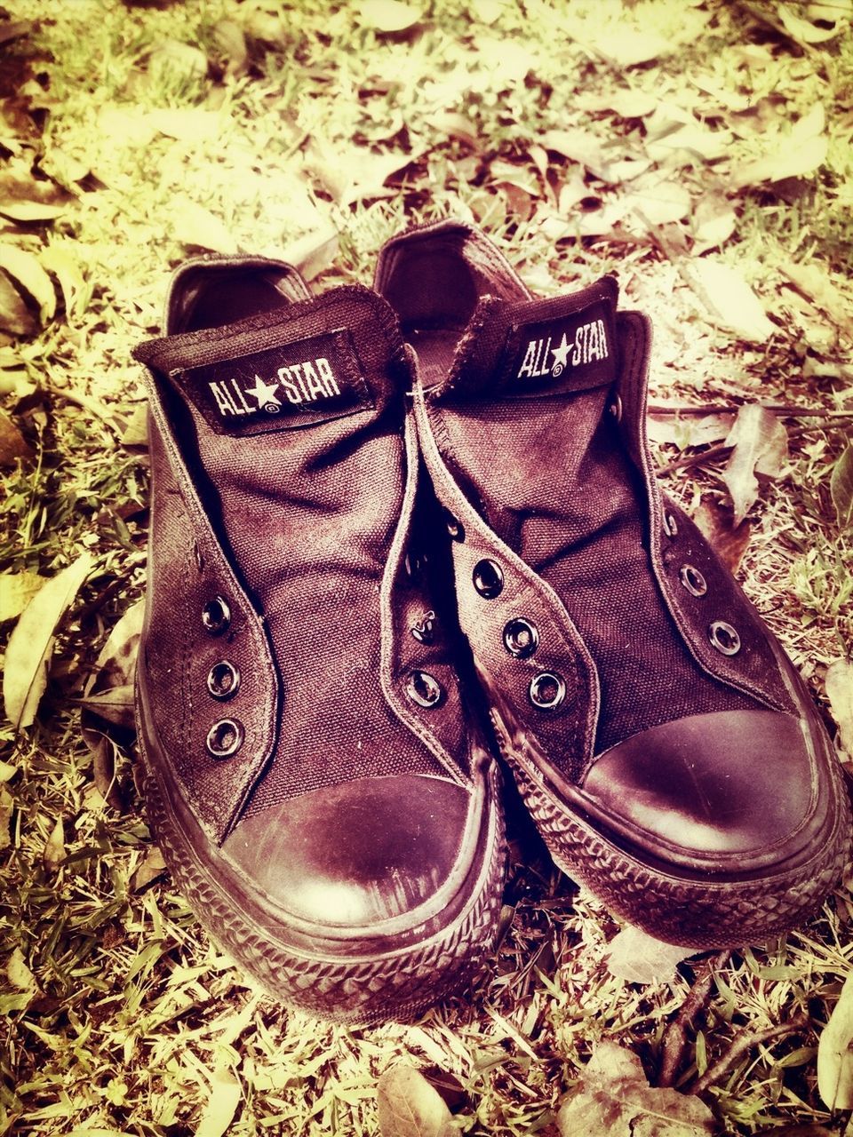 shoe, high angle view, pair, close-up, still life, footwear, shoelace, single object, abandoned, field, fashion, day, ground, outdoors, no people, two objects, directly above, part of, leather, dirty