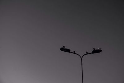 Low angle view of silhouette birds perching against clear sky