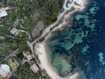 High angle view of river amidst trees