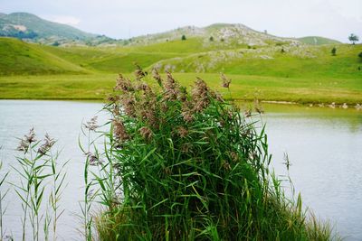 Scenic view of lake against sky