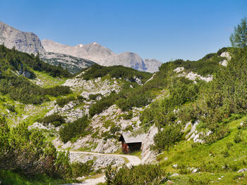 Scenic view of trees and mountains against clear sky