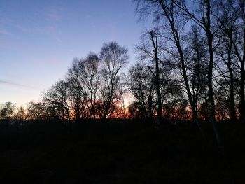 Silhouette trees against sky during sunset