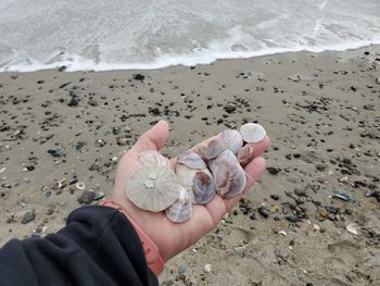 Midsection of person holding umbrella on beach