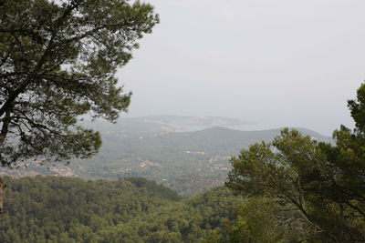 Scenic view of trees and mountains against sky