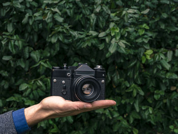 Cropped hand holding camera against plants