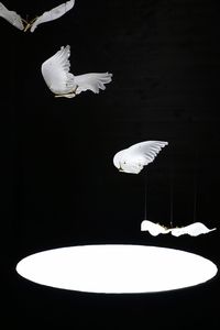 Close-up of white background