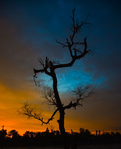 Silhouette bare tree on field against sky at sunset