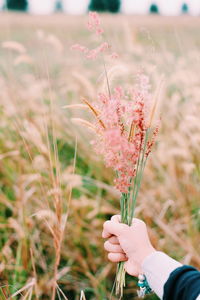Hand holding flowering plant at field