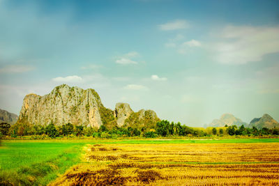 landscape